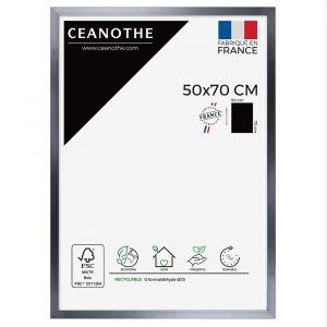 Ceanothe Cadre 50X70 Precious carbone