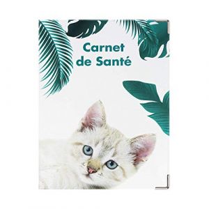 Dossier sant&eacute; animaux couleur motif chaton Color Pop FRANCE - Carnet 18,5 x 13,5 cm