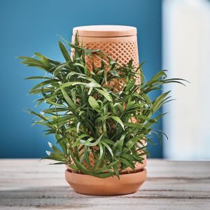 Nature & Découvertes Tour de germination autonome