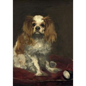 Image de Grafika Edouard Manet : Un Cavalier King Charles Spaniel, 1866