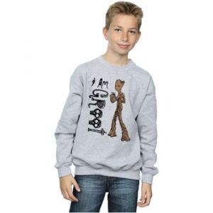 Marvel - Sweat Avengers Infinity War Am Teenage Groot - Garçon