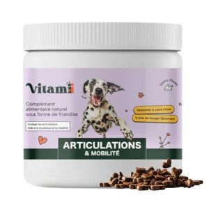 Friandises Articulations Vitamii pour Chien - Curcuma Huile de Poisson 120 bouch&eacute;es