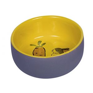 Nobby Mangeoire pour rongeurs en céramique Pet Carrot Plus