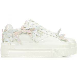 Buffalo Baskets femme Paired Butterfly