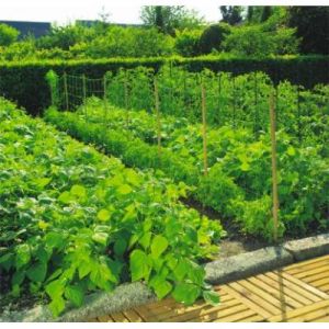 Intermas Gardening Filet à ramer - Trellinet - 1x5 m