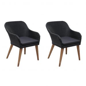 VidaXL Chaises D'extã©Rieur 2 Pcs Avec Coussins Rã©Sine Tressã©E Noir