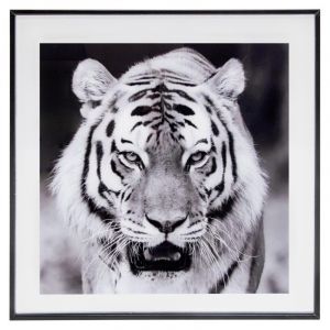 Image de Cadre en Verre "Tigre" 50x50cm Noir Prix