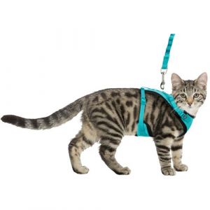 Harnais Y en maille avec laisse anti secousses, entièrement élastique pour chat animallparadise Multicolor