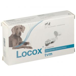 Locox TVM Chien & Chat