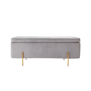 Banc Coffre En Velours rve Gris Clair Neuf