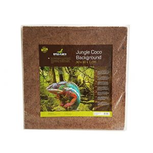 Reptiles Planet Décor de fond Jungle Coco background (50 x 50 x 1 cm)
