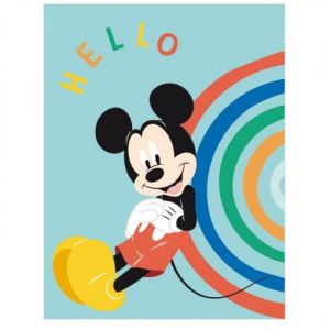 Aymax Plaid Disney Mickey - Hello
