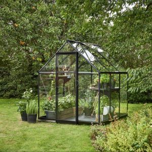 Halls Serre en verre trempé Qube 66 - 3.90 m², Base Sans base - longueur : 1.98 m