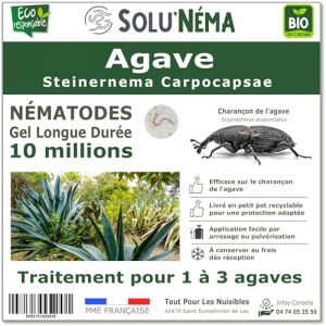 SOLUNEMA - Nématodes SC Contre le Charançon de l'Agave - Pour 1 à 3 Agaves - 10 millions Steinernema Carpocapsae