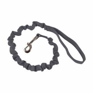 Laisse Anti à Coups pour Chien "Essentiel" 120cm Anthracite