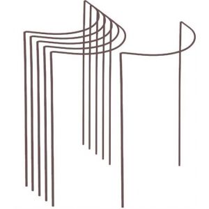 Image de Jardindeco Harrod Horticultural Support à plantes demi-cercle en acier 40 x 75 cm