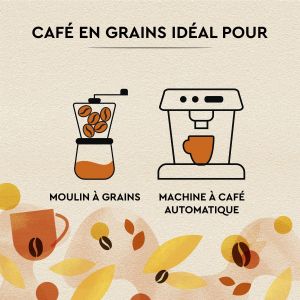 Carte Noire Petit Déjeuner - Café en Grains - Intense et Généreux - Paquet de 1 kg