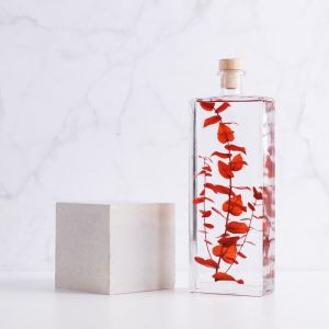 Th&eacute;ophile Berthon Plante immerg&eacute;e Eucalyptus rouge H26