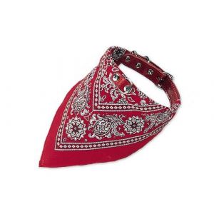 Nobby Collier avec Foulard pour Chien Rouge 60 cm