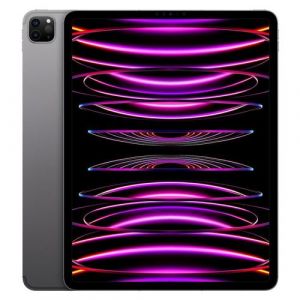 Apple Pro 12,9'' Puce M2 128 Go Gris Sideral Wifi Fin 2022 Reconditionne par Etat Parfait