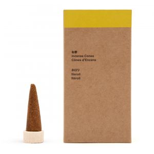 C&ocirc;nes d'encens au n&eacute;roli - Lot de 20