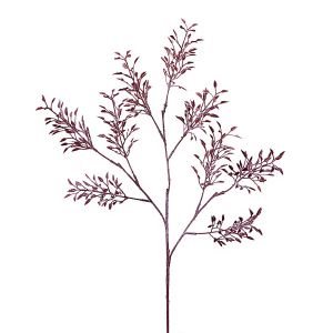 Image de SIA Glycine embrumée H79