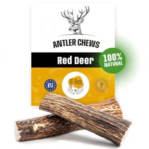 RF - DEER Bois de Cerf élaphe, Premium Hard L, 17-19 cm (111-150 g), Cornes de Cerf et pour Chiot et Chien, 100% Naturel Bâtonnets