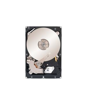 Seagate ST33000650SS - Disque dur interne Constellation ES 3 To 3.5" SAS-2 7200 rpm