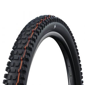 Schwalbe Pneu vtt albert 29 tubeless ready souple gravity pro radial addix ultra soft e bike e 50