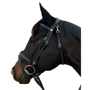 Bridons &eacute;quitation pour cheval Flags&Cup New York