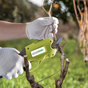 S&eacute;cateur &eacute;lectrique WERKA PRO 3,6V