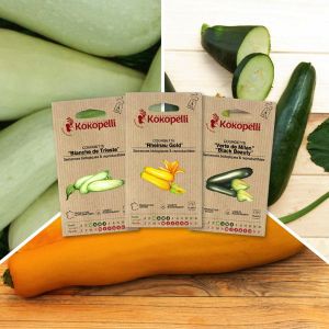 Sachet de graines bio &agrave; semer -Courgettes Color&eacute;es - 3 sachets de graines bio &agrave; semer