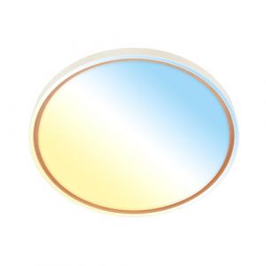 BRILONER - Plafonnier LED avec télécommande, intensité lumineuse variable, CCT blanc chaud à froid, lustre salon, chambre, luminaire plafonnier, cuisine, 49x6,5 cm, coffee