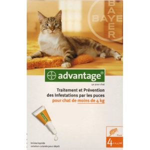 Image de Bayer Advantage 40 pour chat - Traitement et prévention des infestations par les puces pour les chats de moins de 4 kg