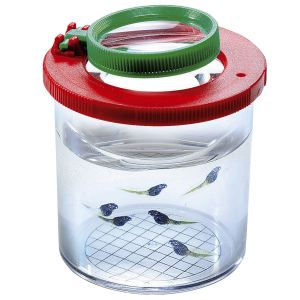 Eduplay Grande boîte à insectes
