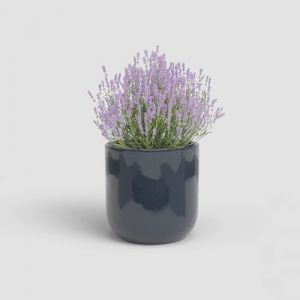 Artevasi Cache-pot jupiter 20 em bleu nuit
