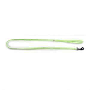 Martin Sellier Laisse pour chien nylon Safety
