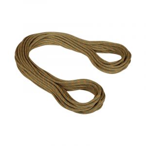 Mammut 9.9 Gym Workhorse Classic Rope 30m, boa Cordes d'escalade