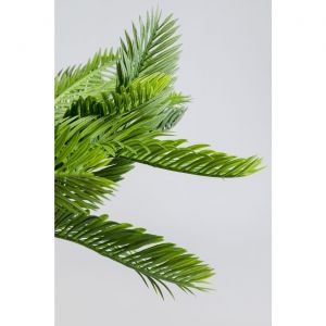 Kare Design Plante décorative Cycas 70cm