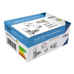 rbm Kit thermostatique complet - corps équerre 15x21 - avec tête TL10