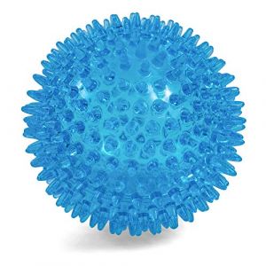 Toyz Petface Ensemble Boule de l'espace, Medium, Bleu