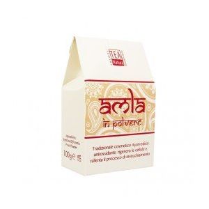 Image de TEA Natura Amla (Emlica Officinalis) - 100 g