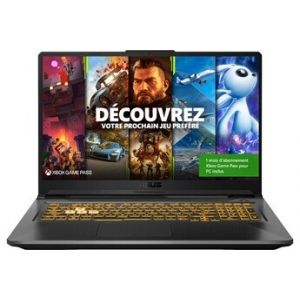 Asus PC portable Tuf gaming F17 TUF766HM-HX007T