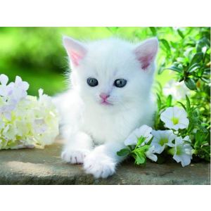 Image de Ravensburger Puzzle Chaton blanc 1500 pièces