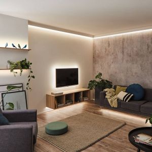 Paulmann MaxLED 79879 Bande LED 250 Tunable White Protection IP44 avec 1 bande lumineuse 8,8 W 2700 K Argenté 2,5 m