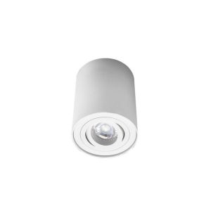 Millumine Spot cylindrique blanc orientable Essence