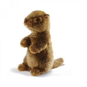 Anima Peluche marmotte siffleuse - 25 cm