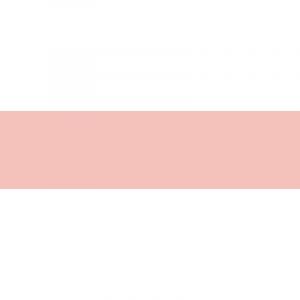 Copic Sketch R21, Sardonyx, Twin Marker avec Une Pointe Moyenne et Une Pointe Pinceau