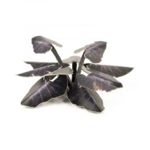 Touffes Gamers Grass Laser Plants : Black Magic Taro