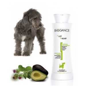 Biogance Shampooing réparateur pour chien